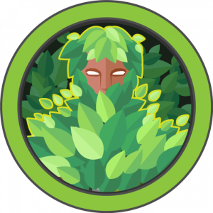 Forest box